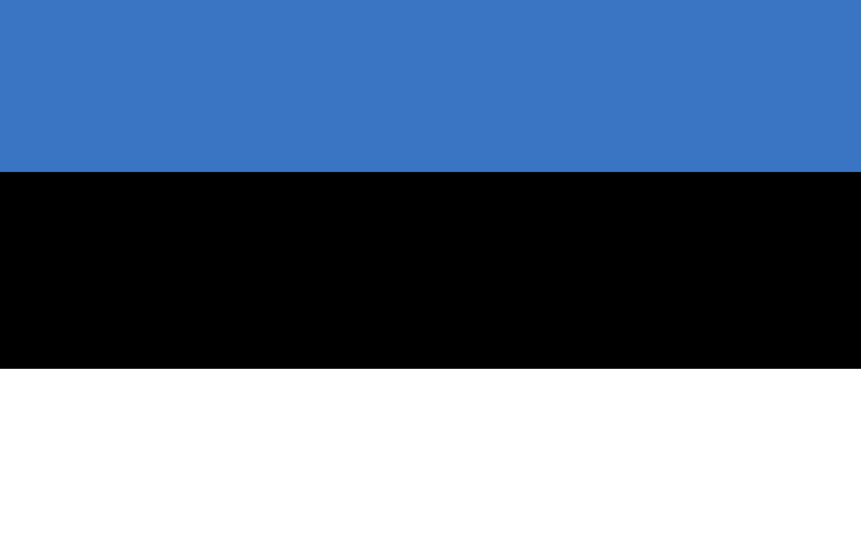 estonia-flag-neu-svg